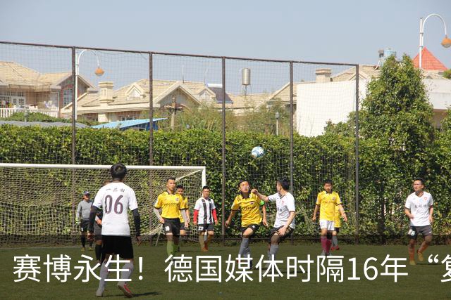 赛博永生！德国媒体时隔16年“复活”章鱼保罗，这次是以AI的形式